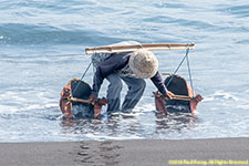 fetching sea water